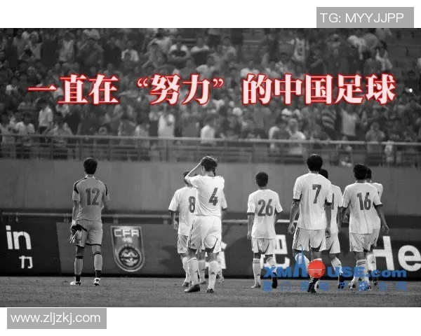 南京足球队的崛起与发展探讨展现城市足球的无限潜力与激情