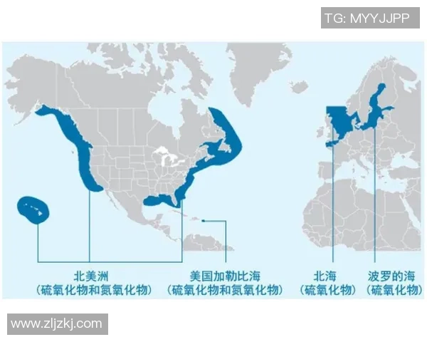 独家分析：深圳排球队的耐力对比